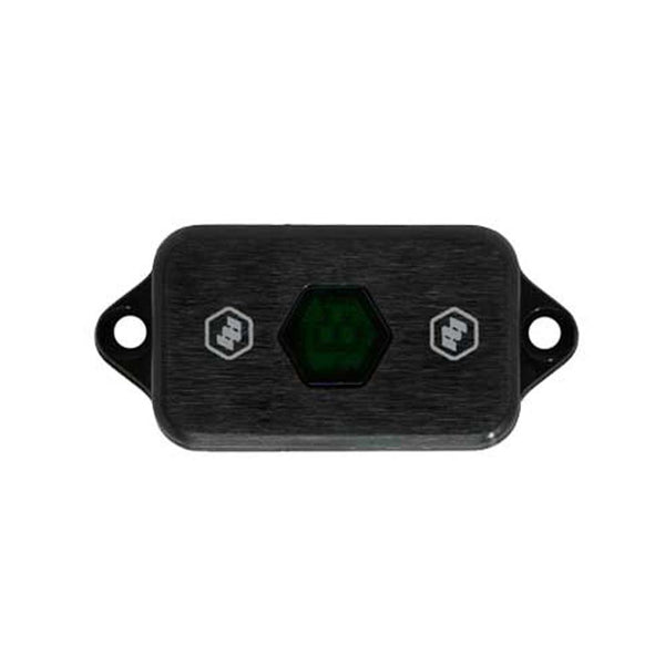 LED Rock Light (Green)