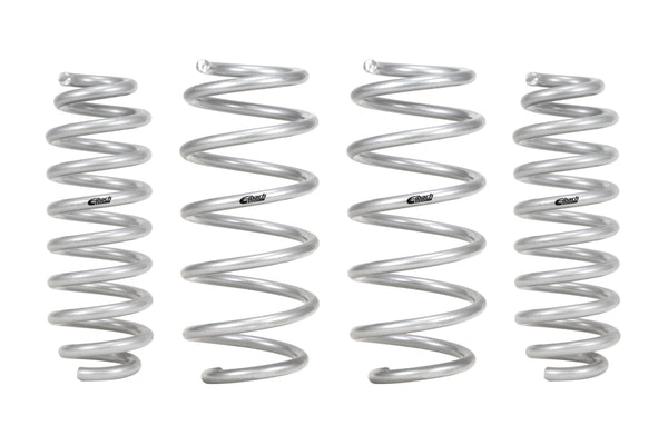 Pro-Lift Springs