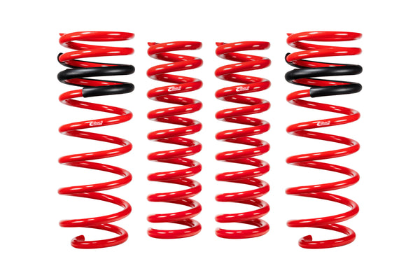 Pro-Lift Springs