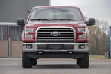 Rough Country - N3 Leveling Struts - 2 Inch - Loaded Strut - Ford F-150 2WD (2014-2025)